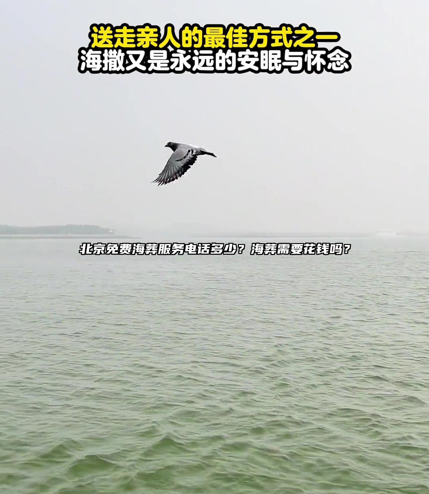 北京免费海葬服务电话多少？海葬需要花钱吗？
