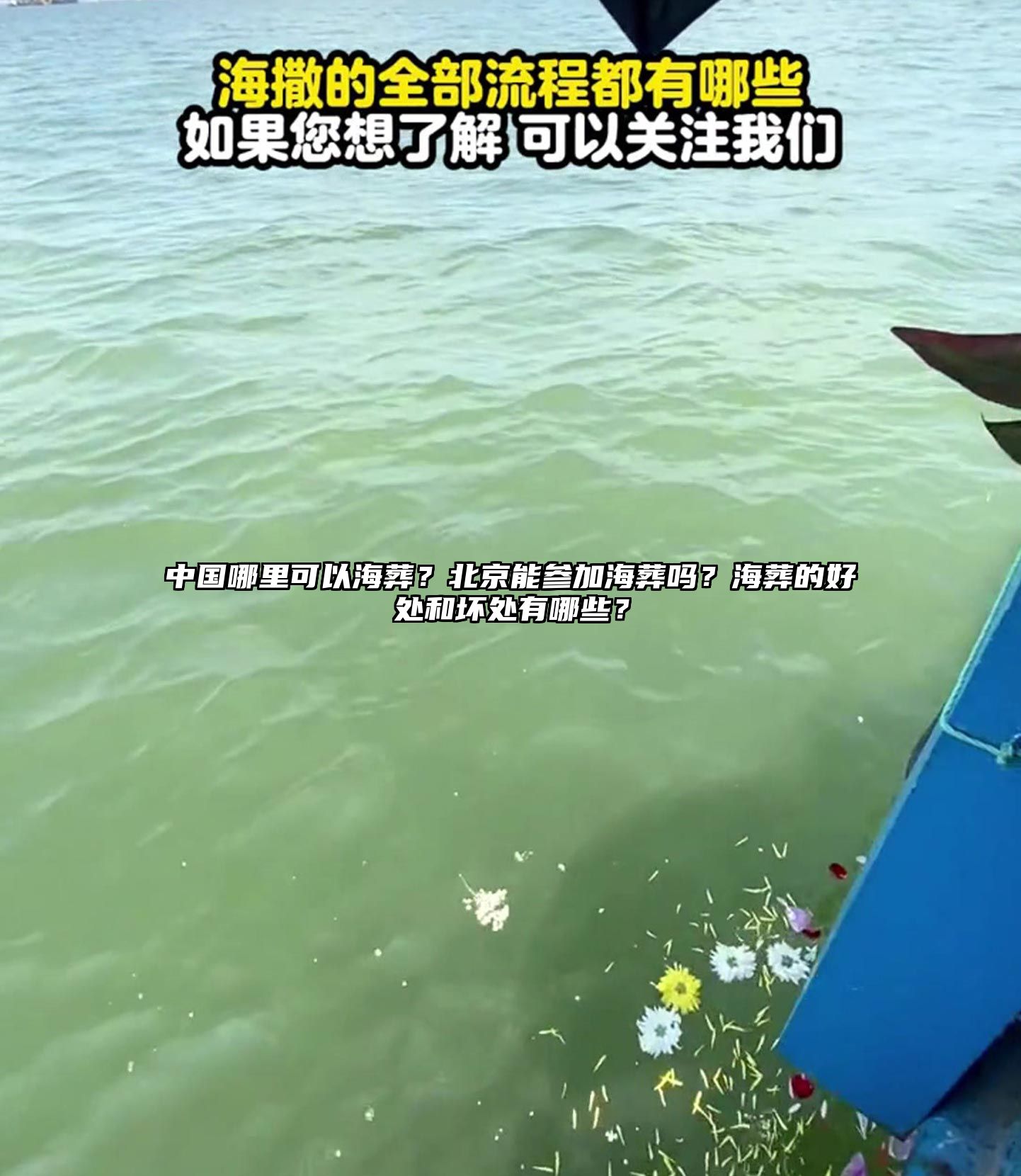 中国哪里可以海葬？北京能参加海葬吗？海葬的好处和坏处有哪些？