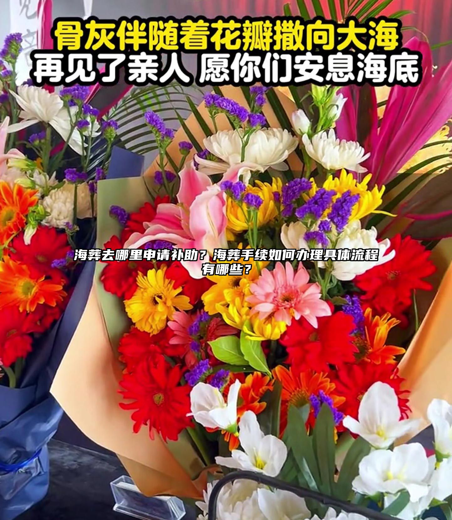 海葬去哪里申请补助？海葬手续如何办理具体流程有哪些？