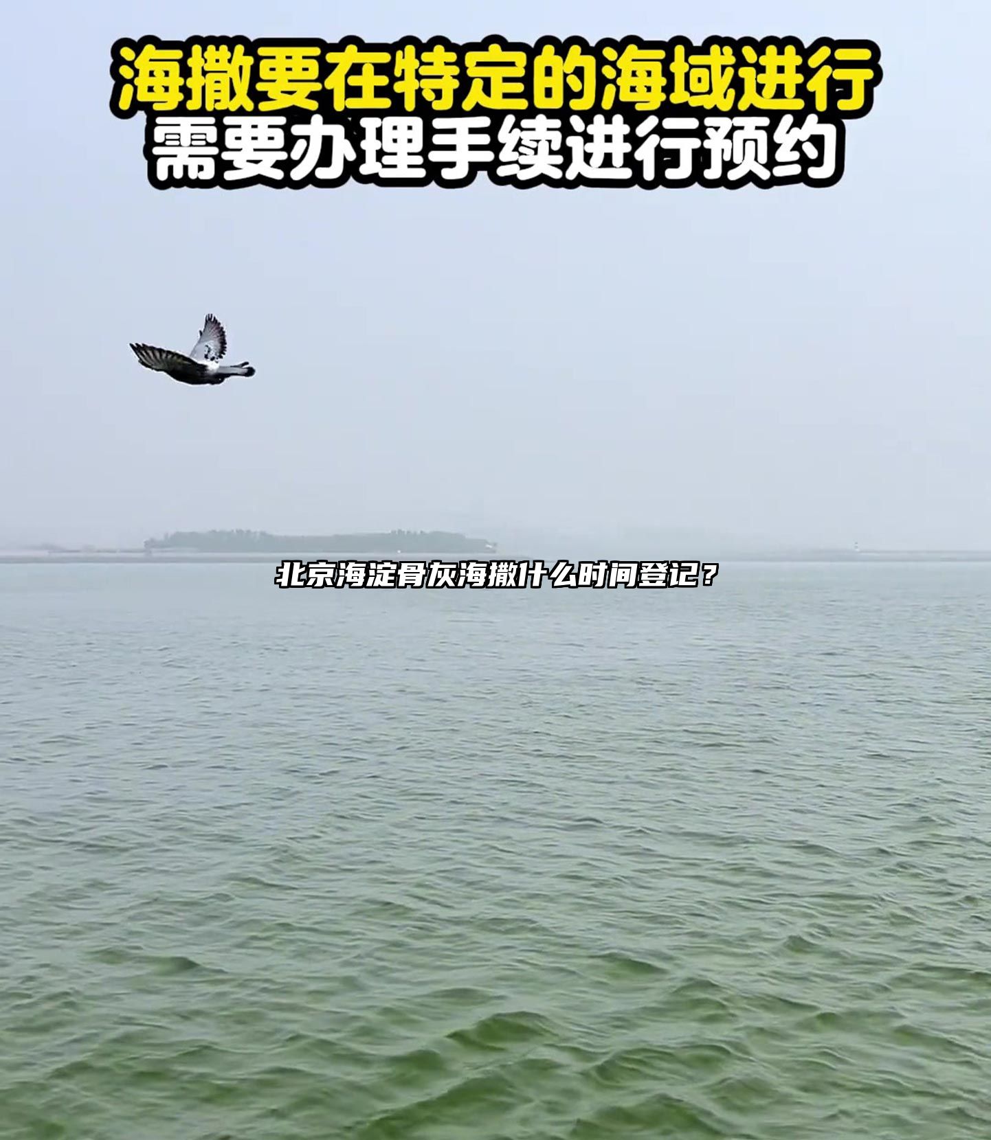 北京海淀骨灰海撒什么时间登记？