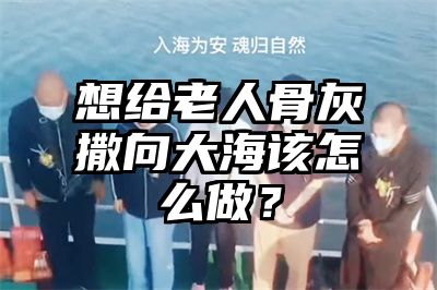 想给老人骨灰撒向大海该怎么做？