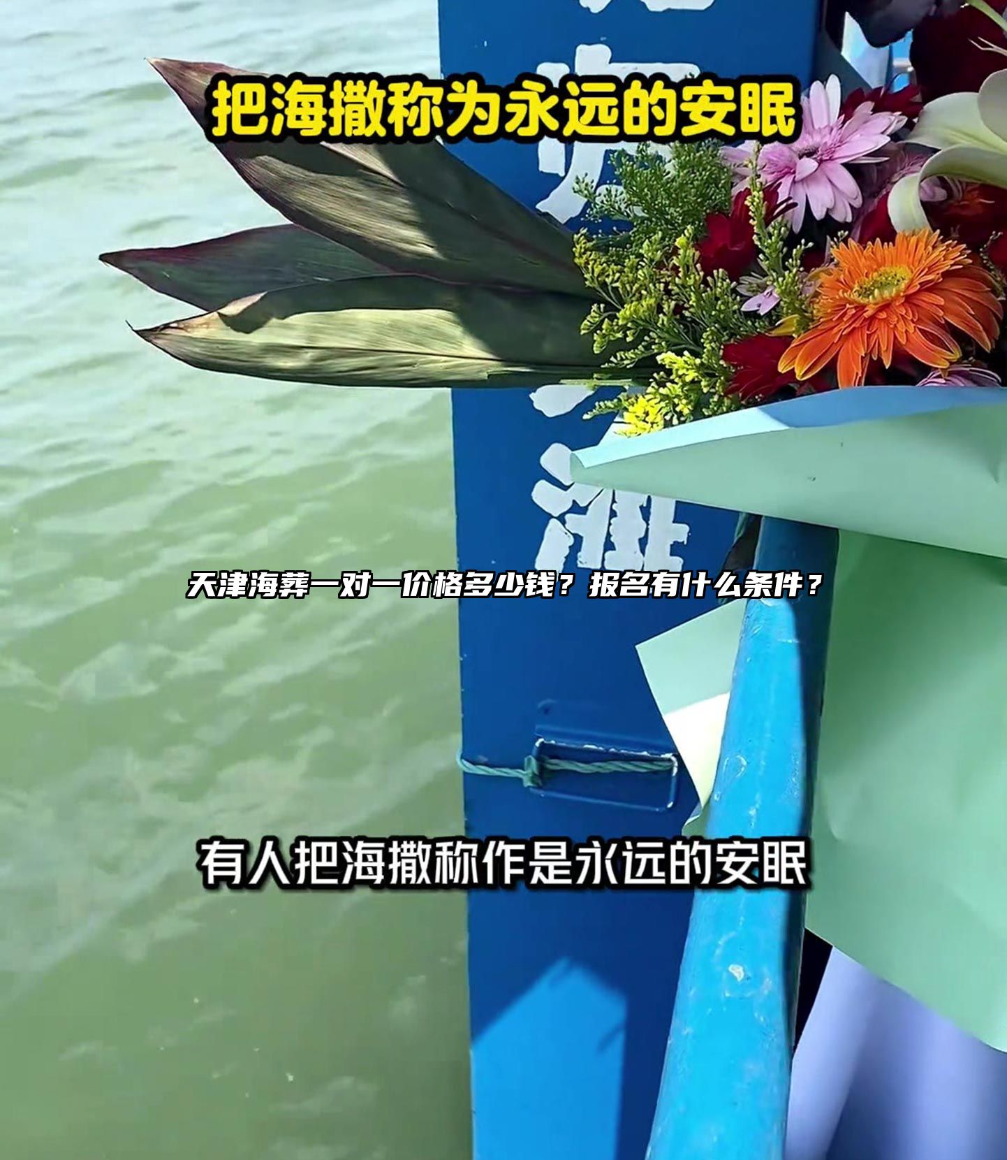 天津海葬一对一价格多少钱？报名有什么条件？