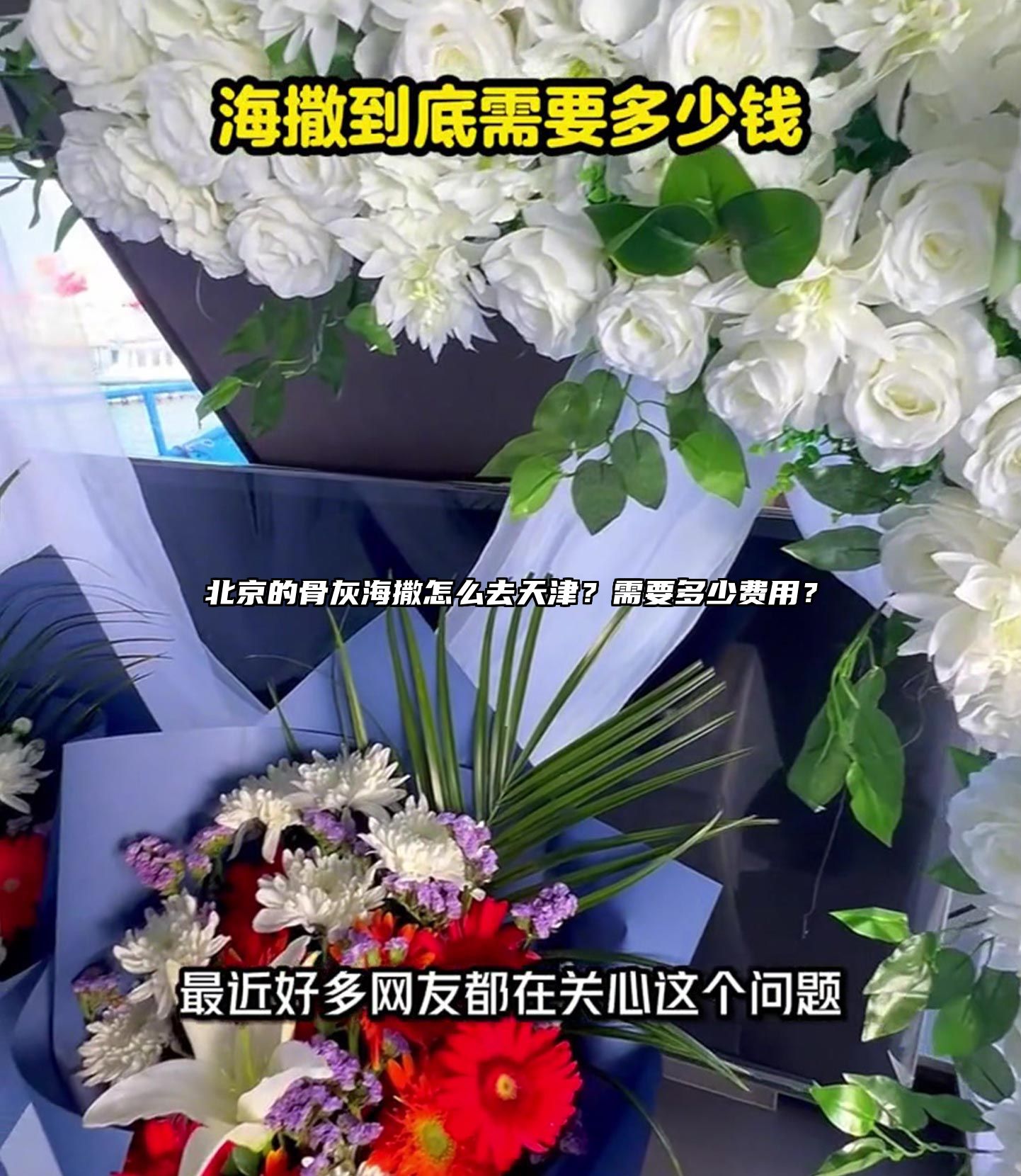 北京的骨灰海撒怎么去天津？需要多少费用？