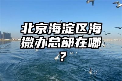 北京海淀区海撒办总部在哪？
