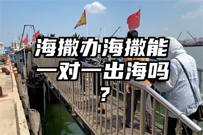海撒办海撒能一对一出海吗？
