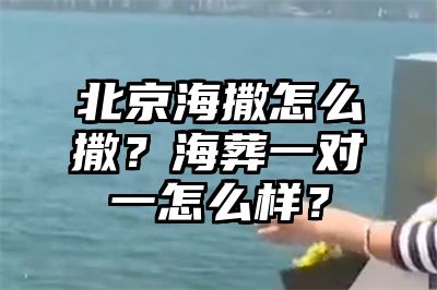 北京海撒怎么撒？海葬一对一怎么样？
