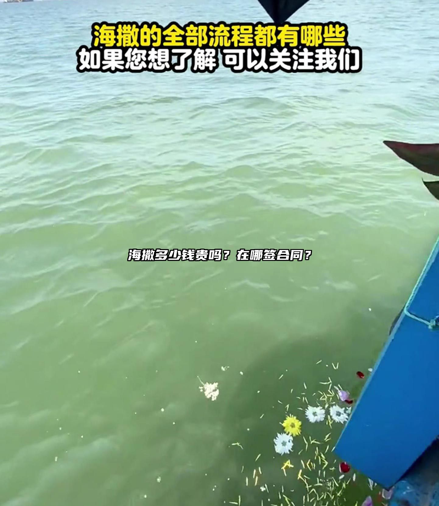 海撒多少钱贵吗？在哪签合同？