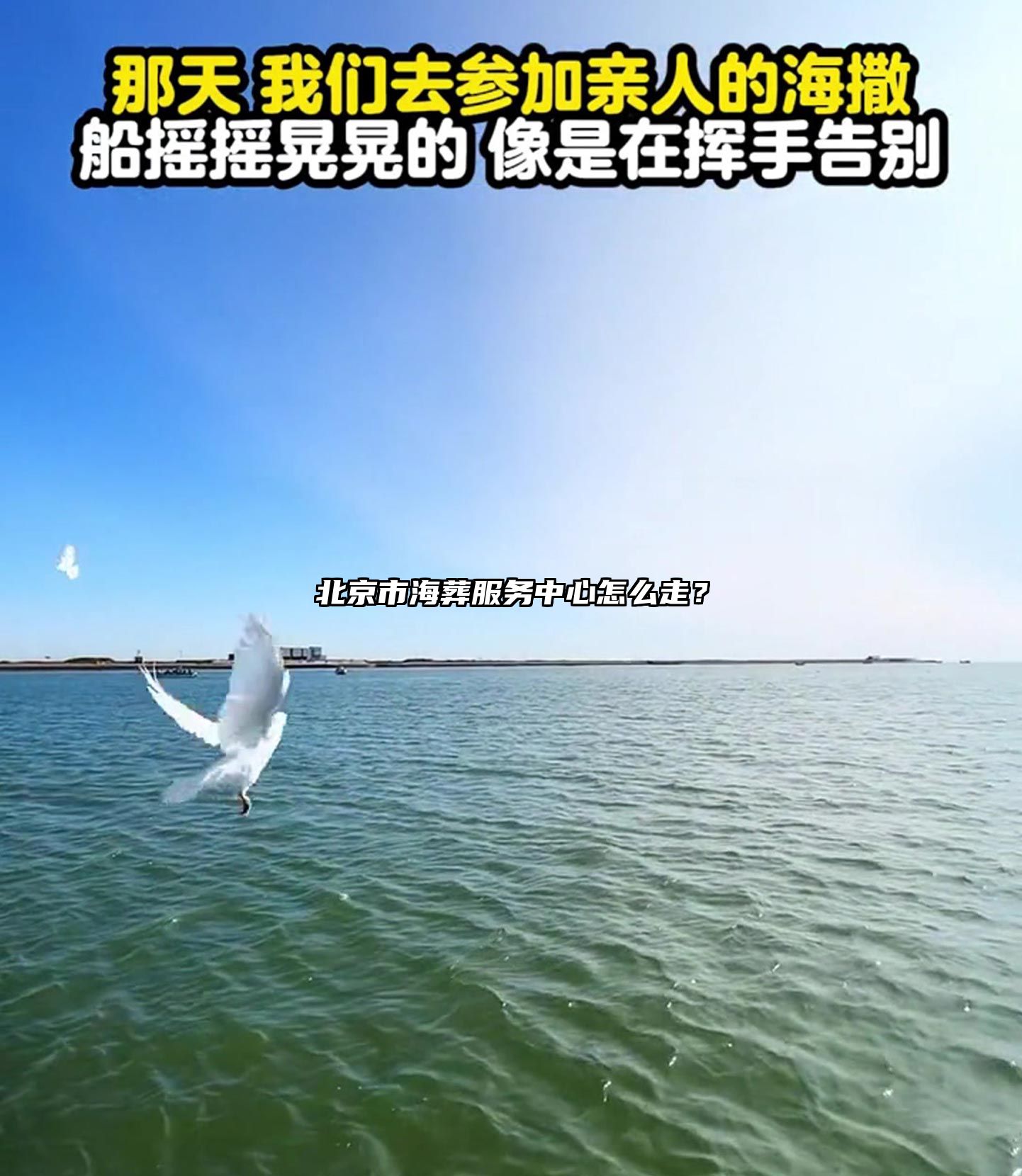 北京市海葬服务中心怎么走？