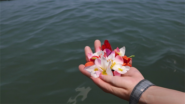天津骨灰撒海如何办理-2