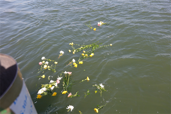 可以海葬的城市有哪些名字和图片-2