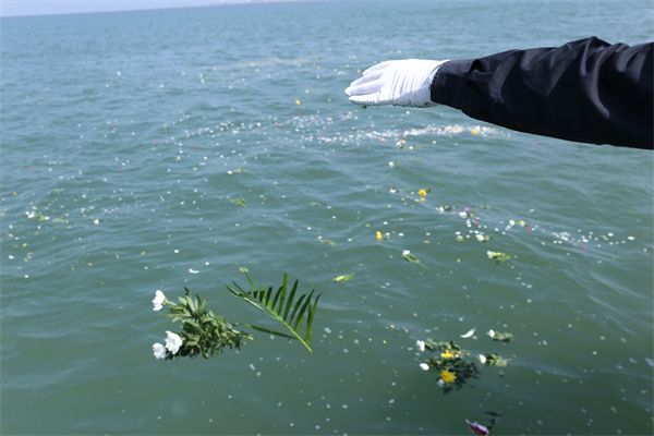 海葬登记电话多少-2