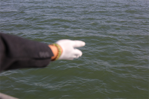 南京海葬流程-2