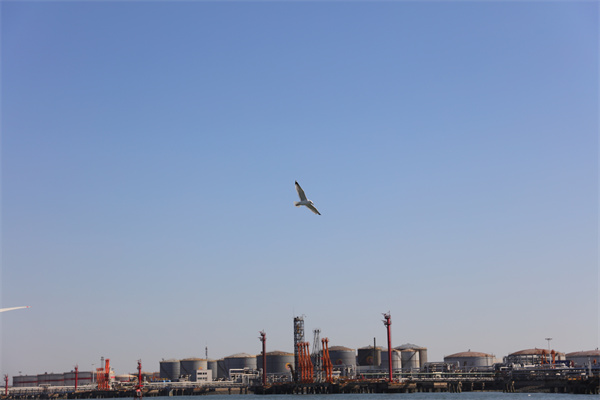 海葬会对海有影响吗-3