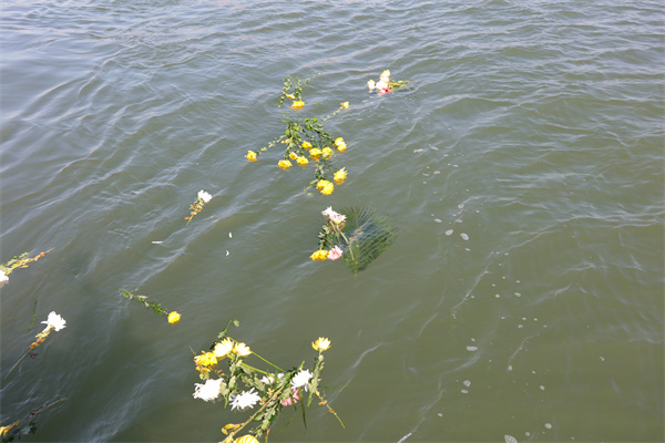 公墓到期后能海葬吗现在-1