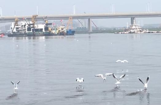 亲人葬礼可以不参加吗-2