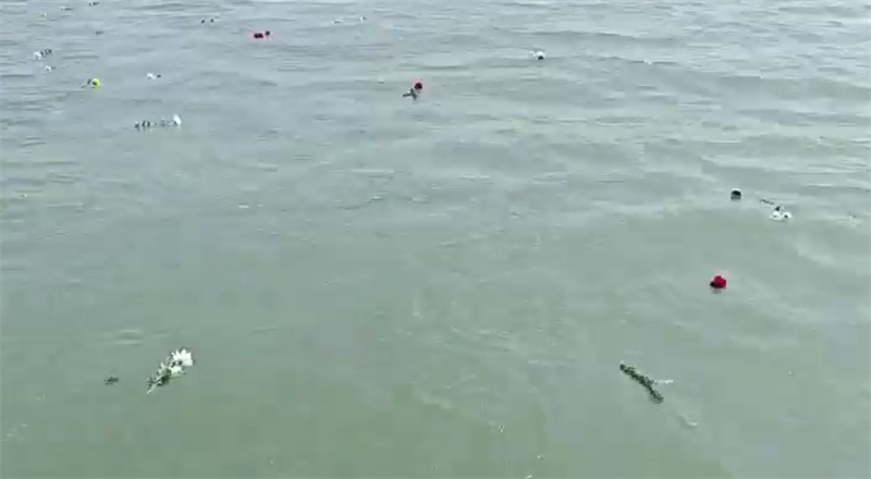 老人的骨灰撒大海好不好-3