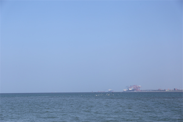 海葬还要买墓地吗现在-2