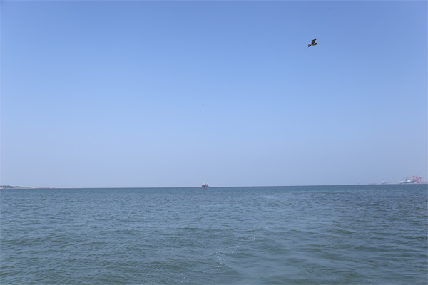 北京海莎咨询有限公司电话-3