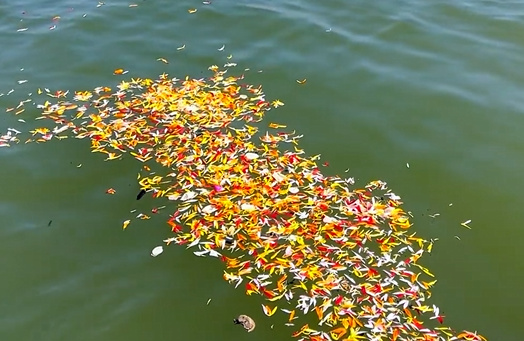 上海 海葬套餐价目表查询-1