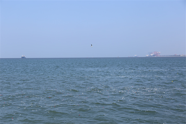 八宝山火葬场海葬电话号码查询地址-1