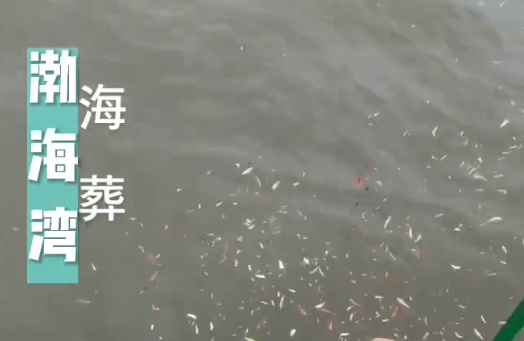 北京八宝山骨灰海撒的费用-2
