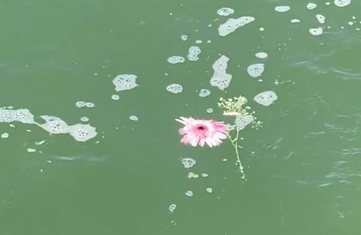 现在还可以去海边吗-1