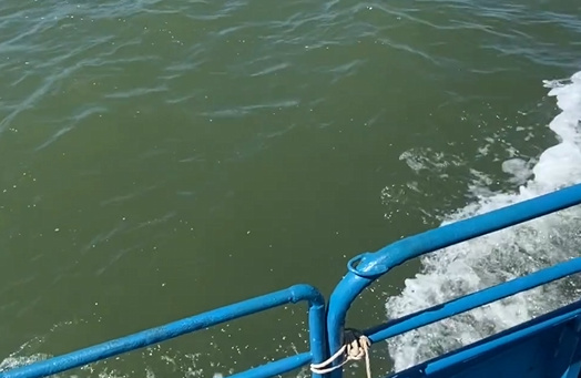 北京骨灰撒海地点-2