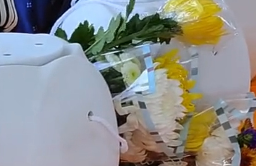 海葬都需要什么手续办理流程-1