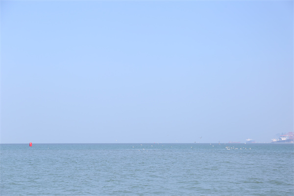 东郊殡仪馆开门时间-1