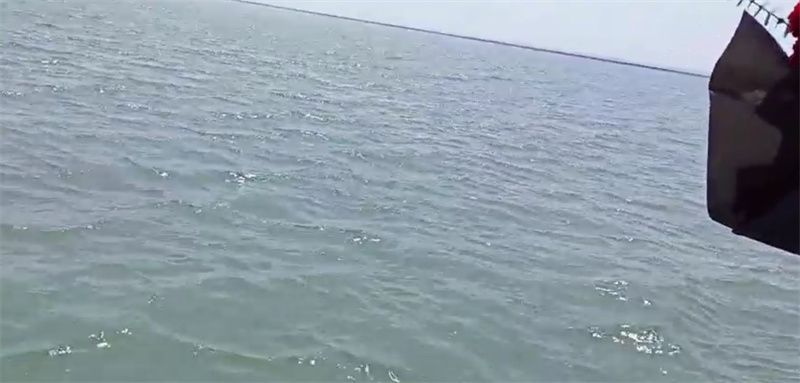 黑庄户海鲜市场在哪里-1