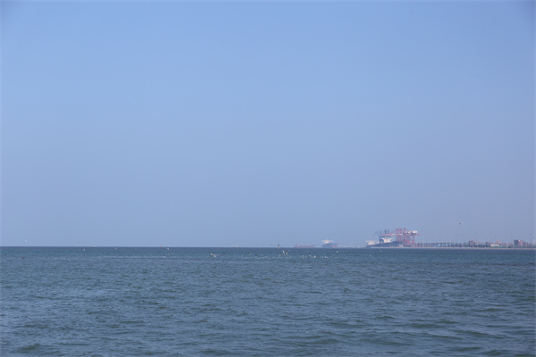 上海市海葬费用大概是多少-2