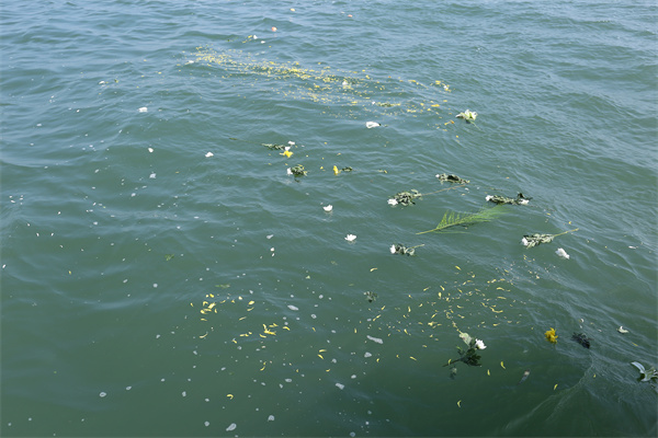 北京海葬公司怎么样知乎-1