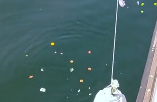 把骨灰撒入大海违法吗知乎-2