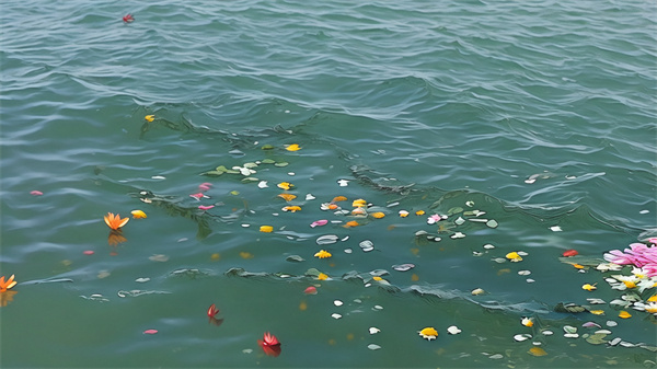 死后把骨灰撒在海里歌曲-3