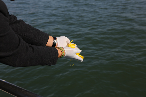 北京骨灰海撒后怎么领取补助-2