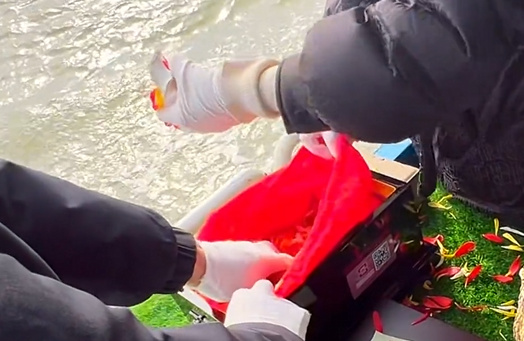 现在可以海葬吗,怎么申报土葬-2