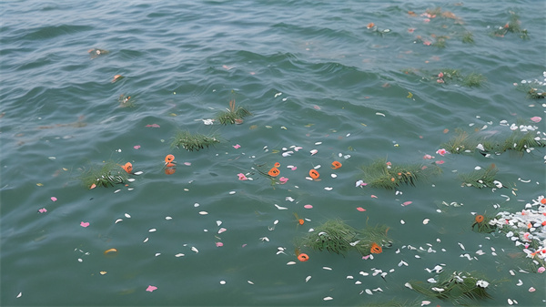 北京海莎咨询有限公司是CRO么-2