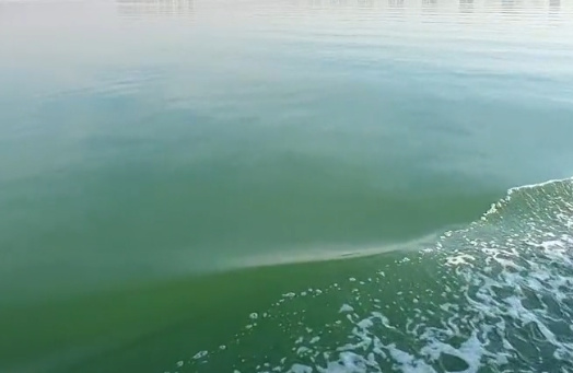 海葬手续去哪办理如何办理-2