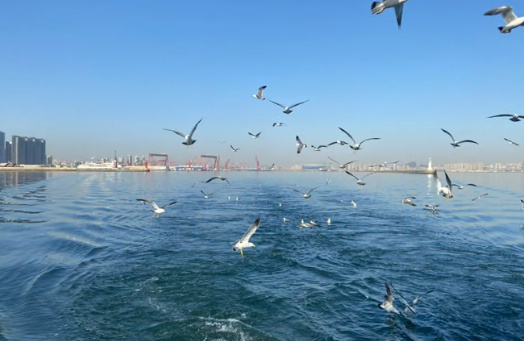 海葬后骨灰盒怎么处理合适的方法-1