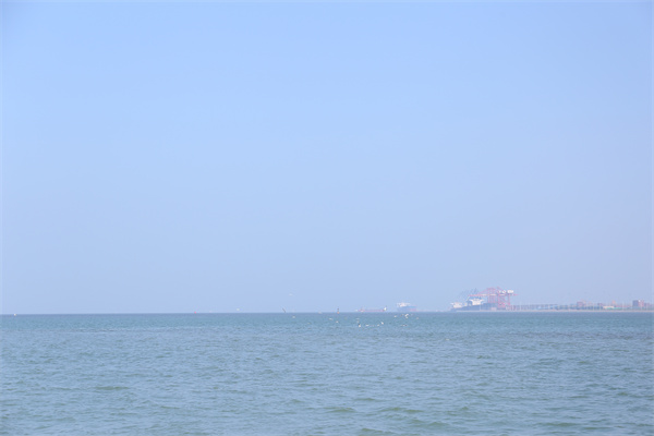 什么时候开始登记-2